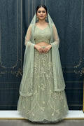 Lehenga Choli set : pastel green