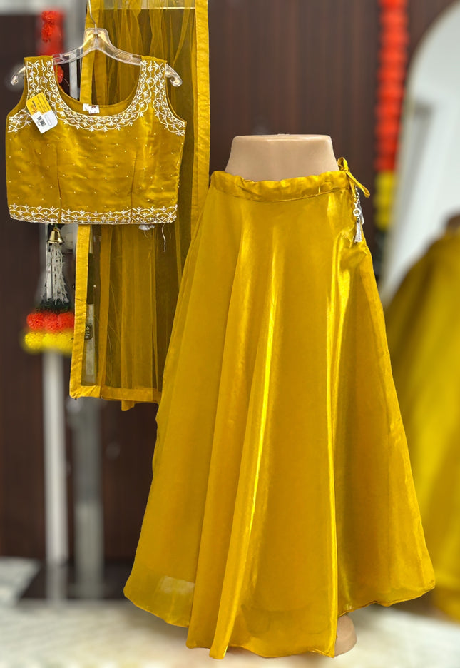 Tissue organza lehenga Choli - Kurti Connection USA