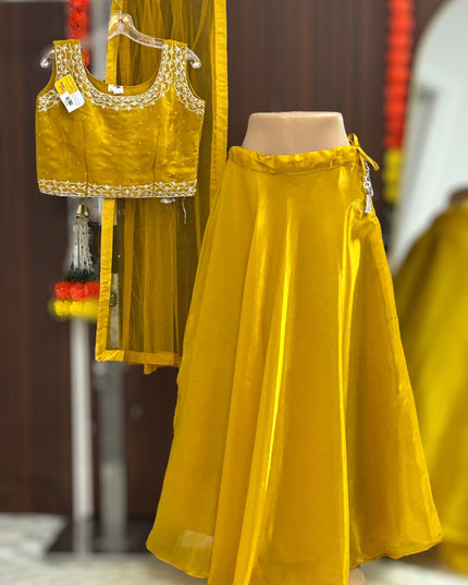 Tissue organza lehenga Choli - Kurti Connection USA