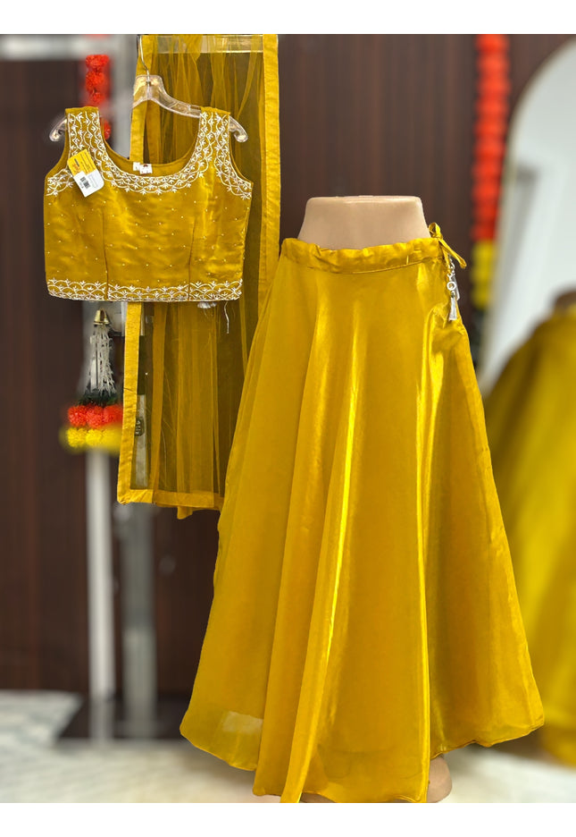 Tissue organza lehenga Choli - Kurti Connection USA