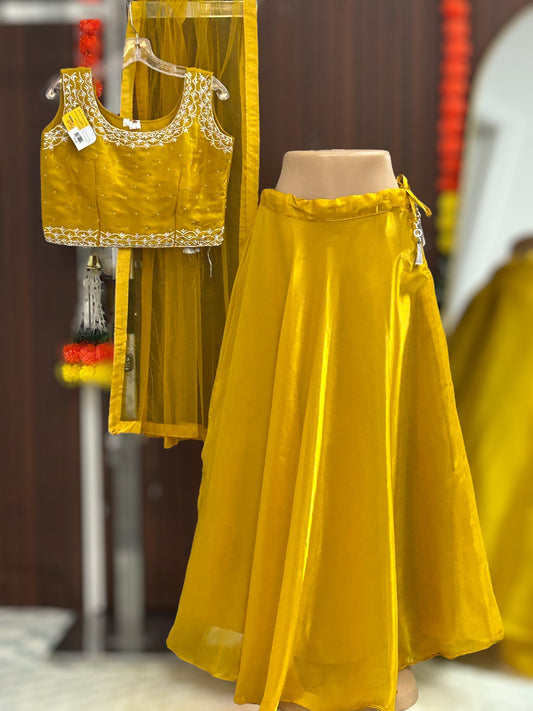 Tissue organza lehenga Choli