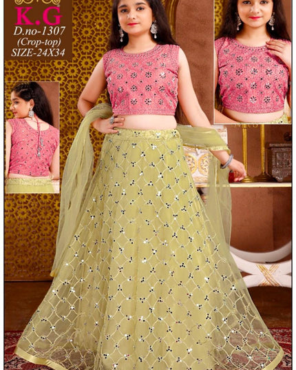 Lehenga Choli set - Kurti Connection USA