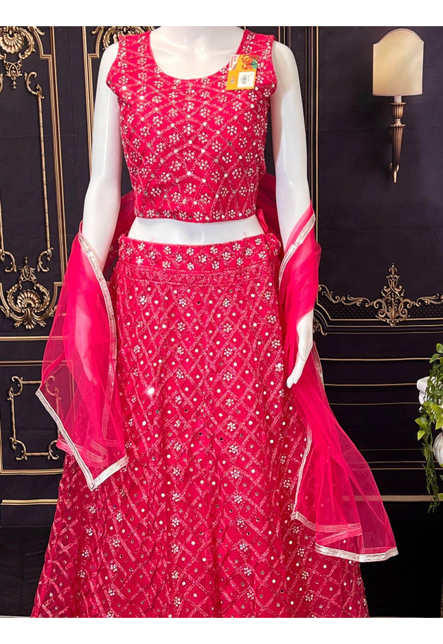 Party wear lehenga Choli set - Kurti Connection USA