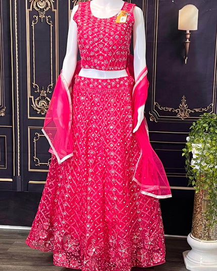 Party wear lehenga Choli set - Kurti Connection USA