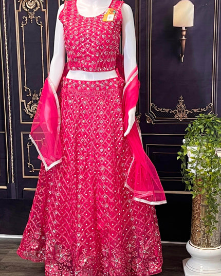 Party wear lehenga Choli set - Kurti Connection USA