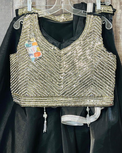 Tissue organza lehenga choli set - Kurti Connection USA