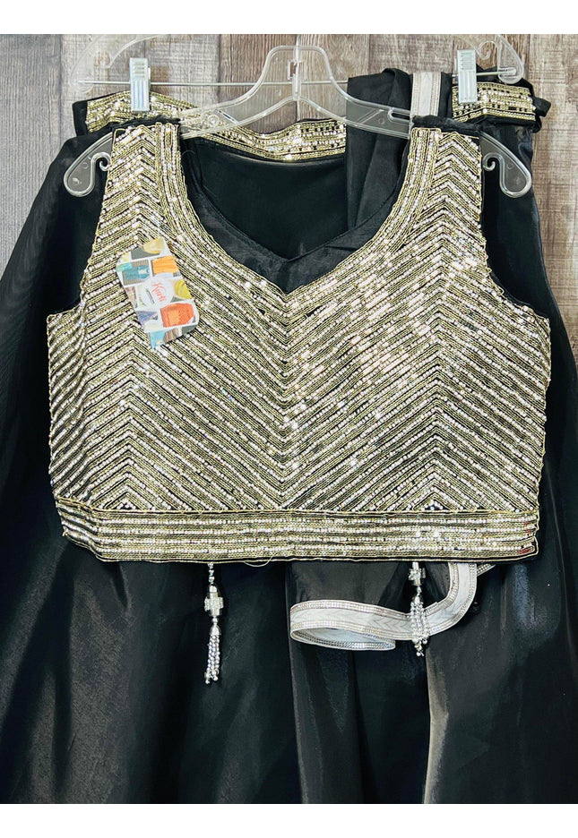 Tissue organza lehenga choli set - Kurti Connection USA