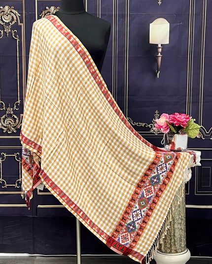Soft pashmina shawl - Kurti Connection USA