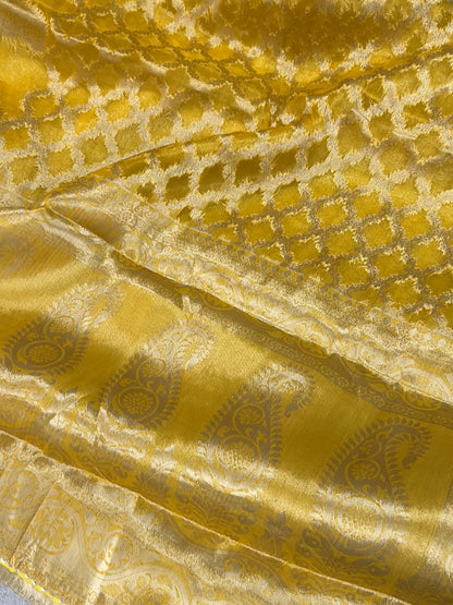Tissue organza saree