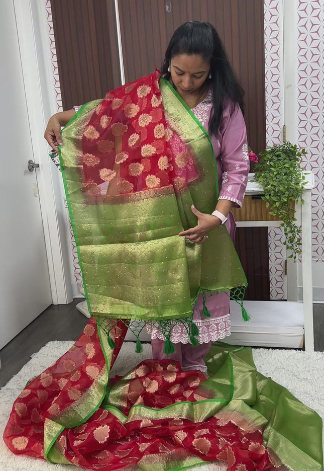 Tissue organza sarees