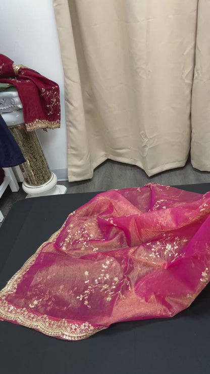 Tissue silk dupatta